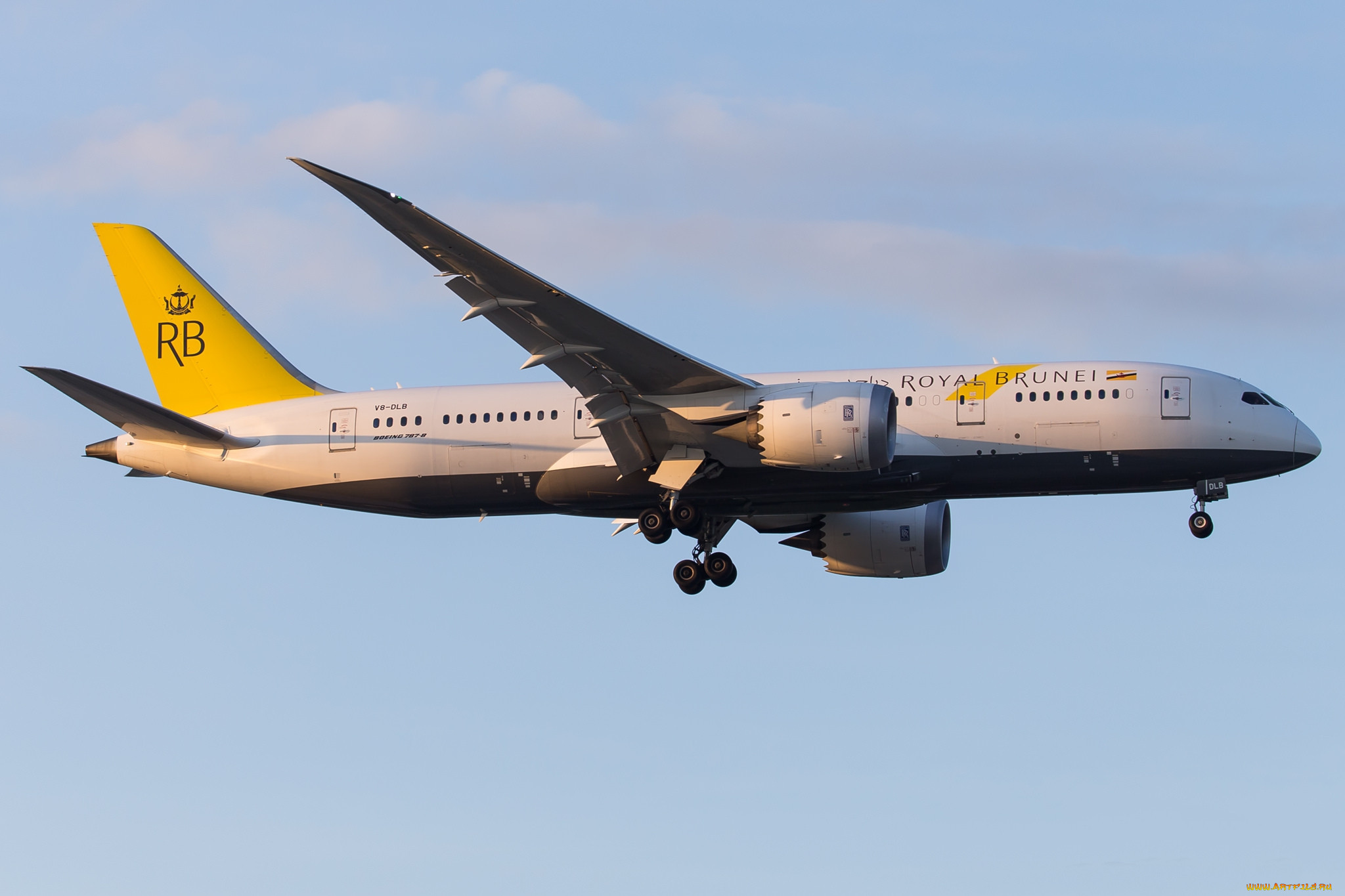boeing 787-8, ,  , 